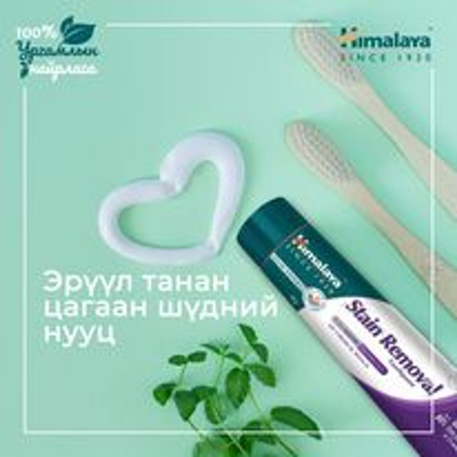 Шүдний 00 Himalaya 80гр