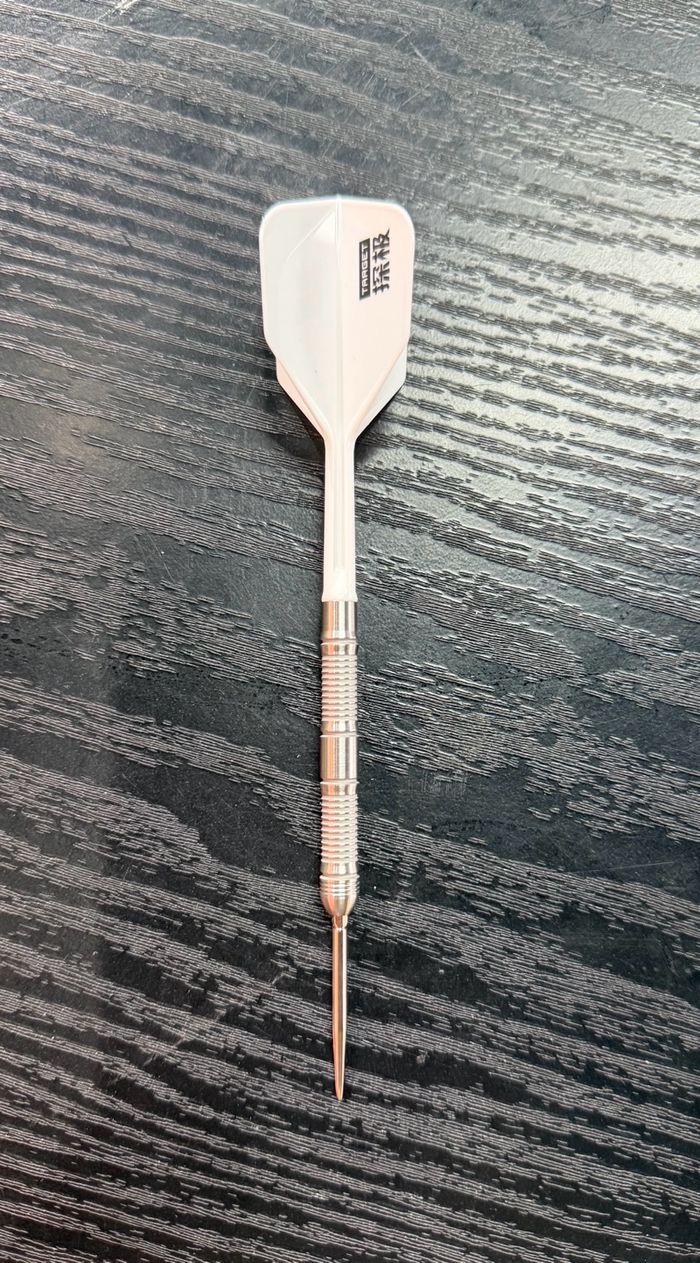 TARGET ENTRY LEVEL - ADULTS 01 22G STEEL TIP 2026