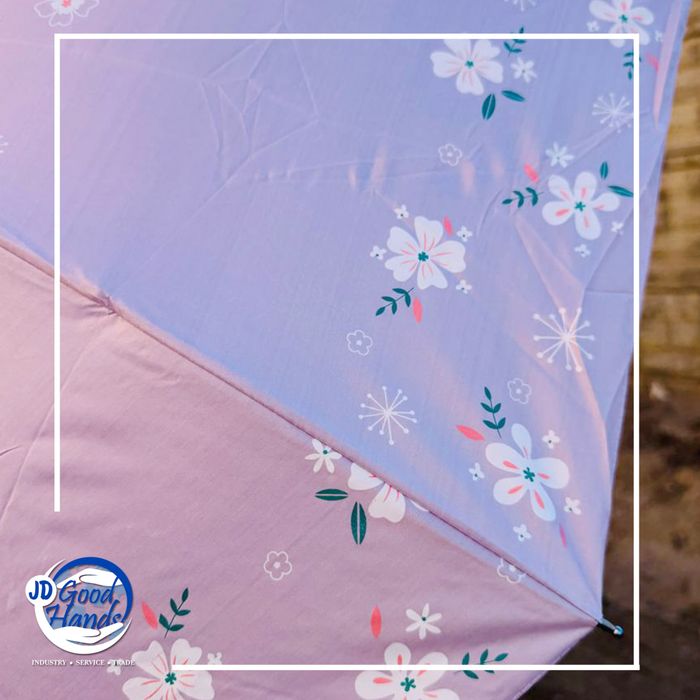 Зоонтог цэцэгтэй, өнгөлөг