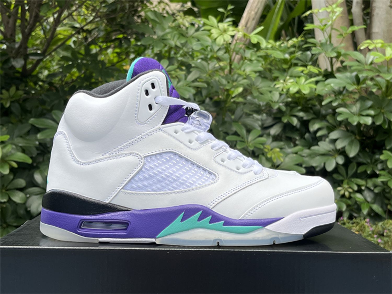  Jordan Air Jordan 5 Retro Grape 