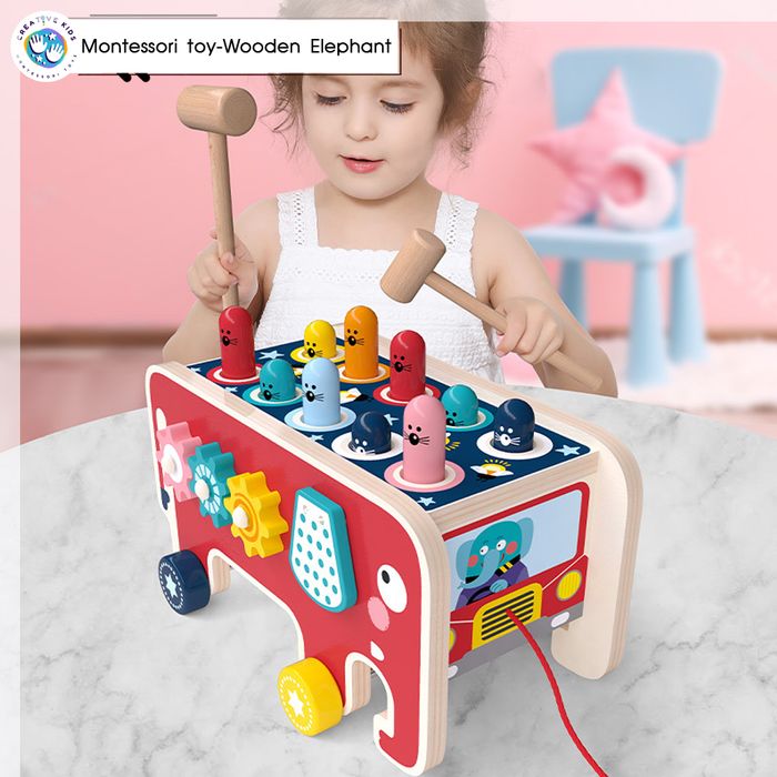 Монтессори модон заан