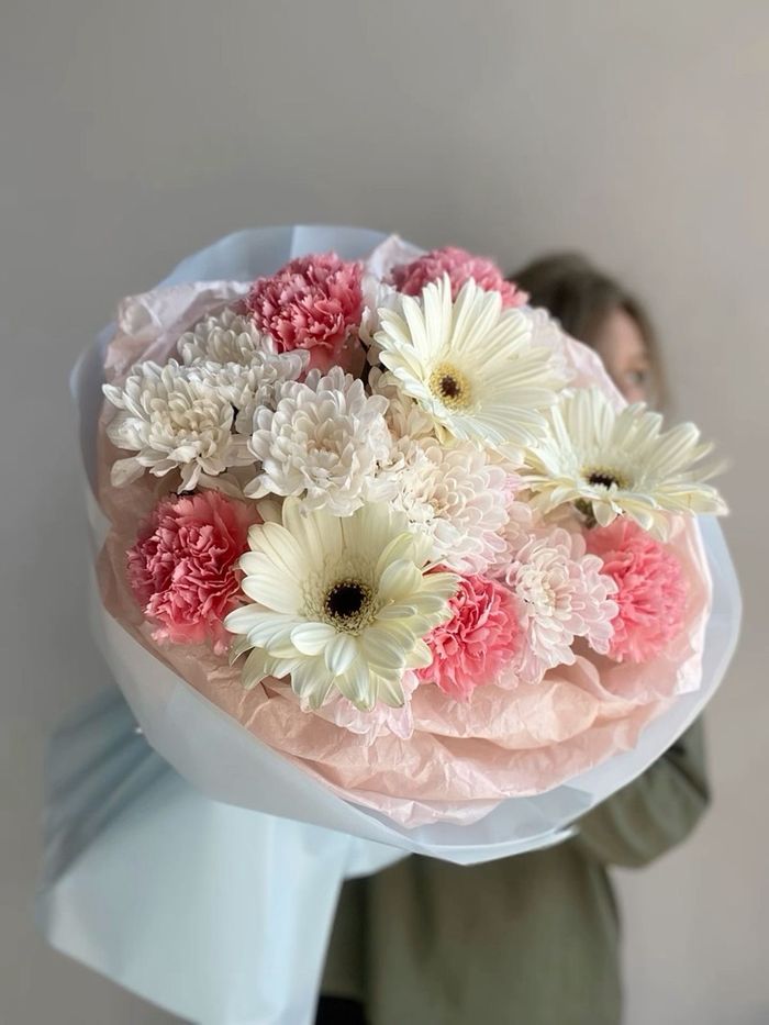 Голланд гербера chrysanth