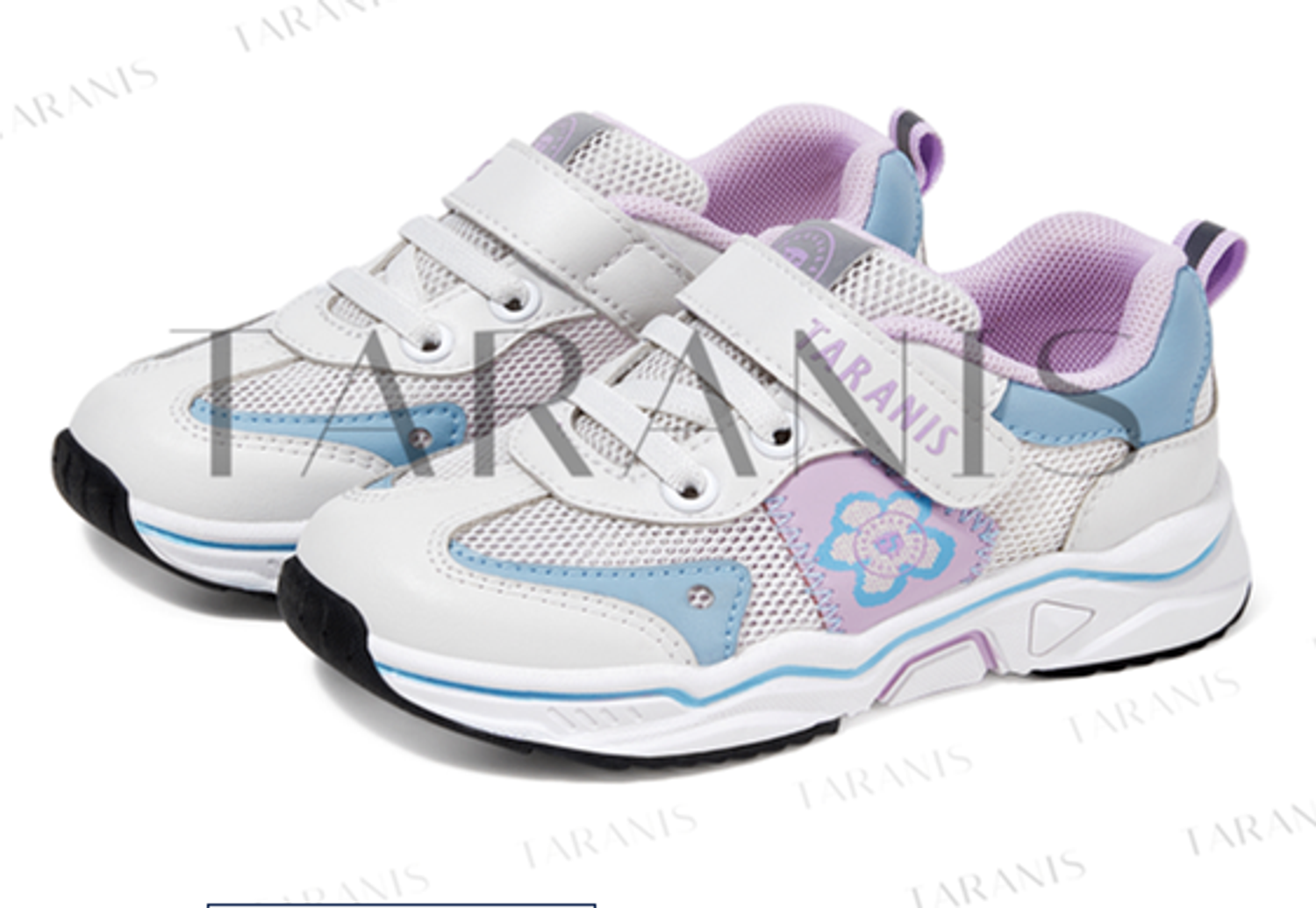 Сеткэн пүүз