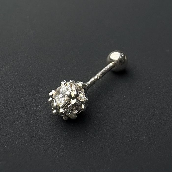 Мөгөөрсний ээмэг