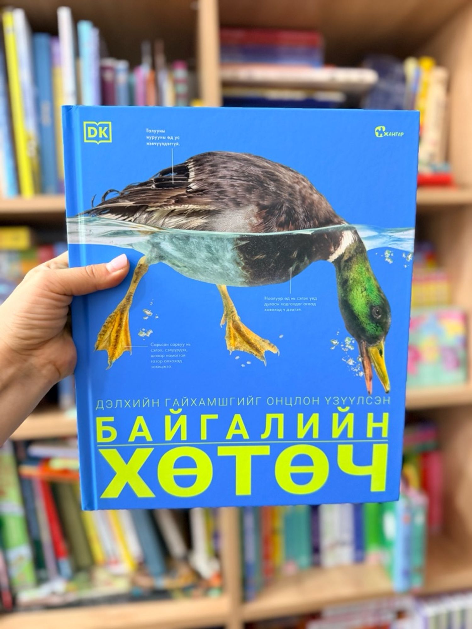 Байгалийн хөтөч