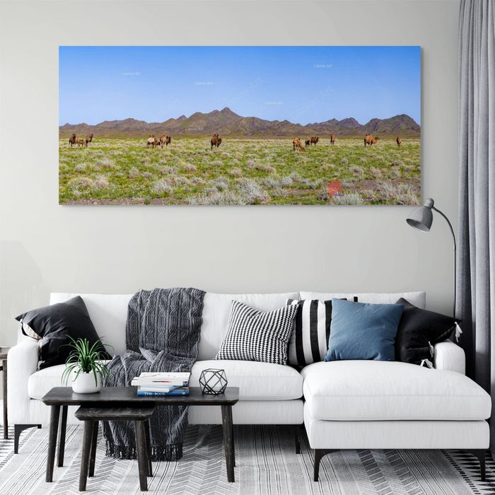 Цэций хайрхан 