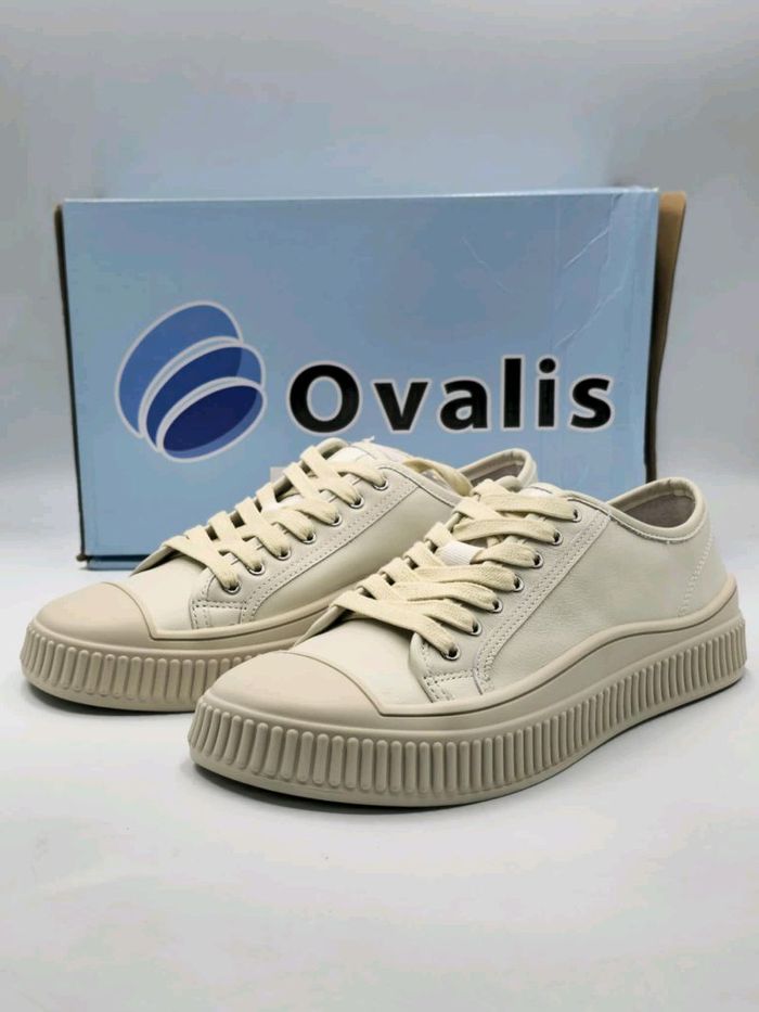 Ovalis арьсан кет