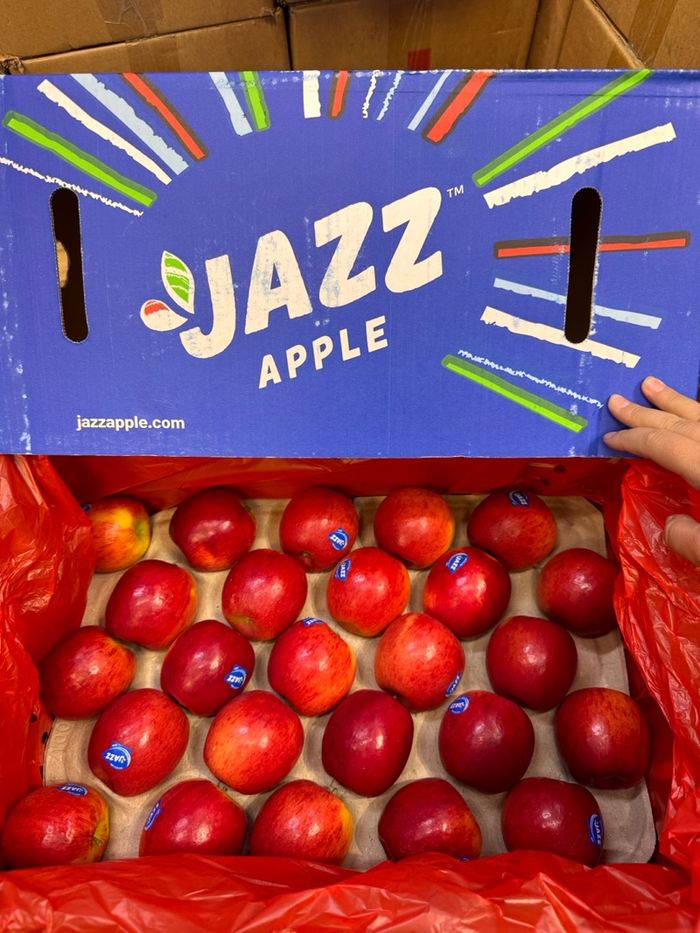 Jazz alim