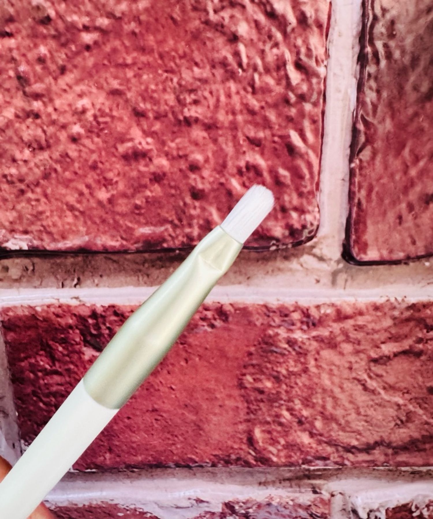 Нүүр будалтын багс 