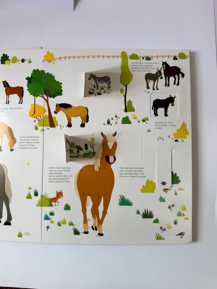 The Ultimate Book of Horses