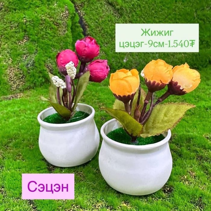 Жижиг цэцэг