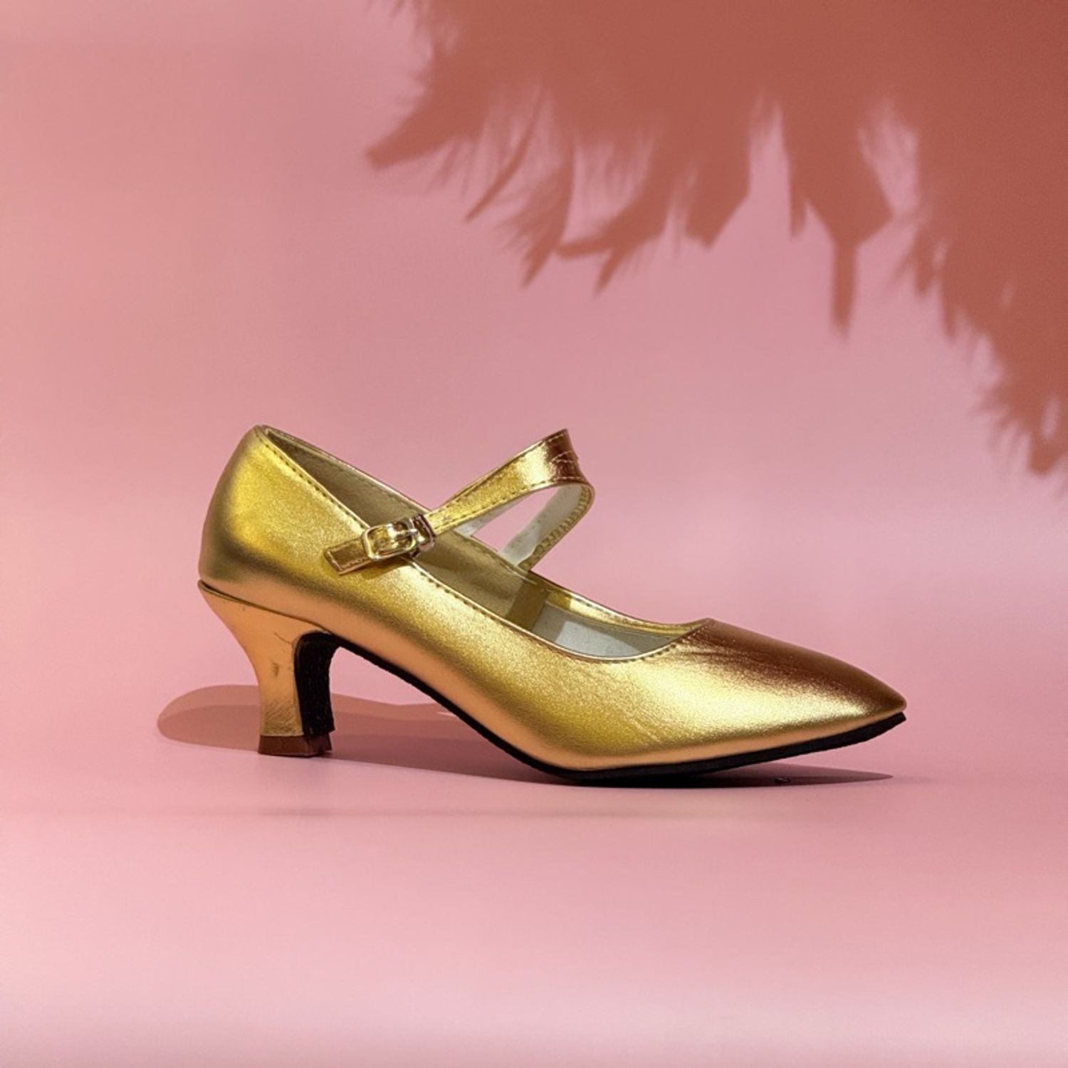 Бүжгийн гутал /стандарт/