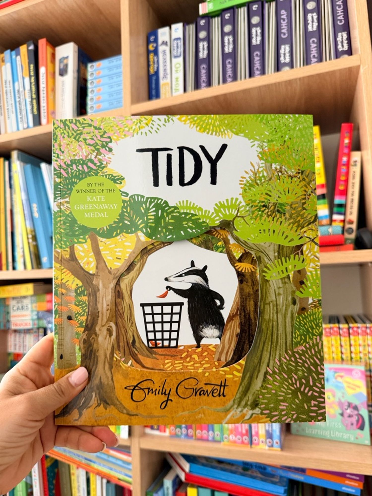 Tidy - Emily Gravett