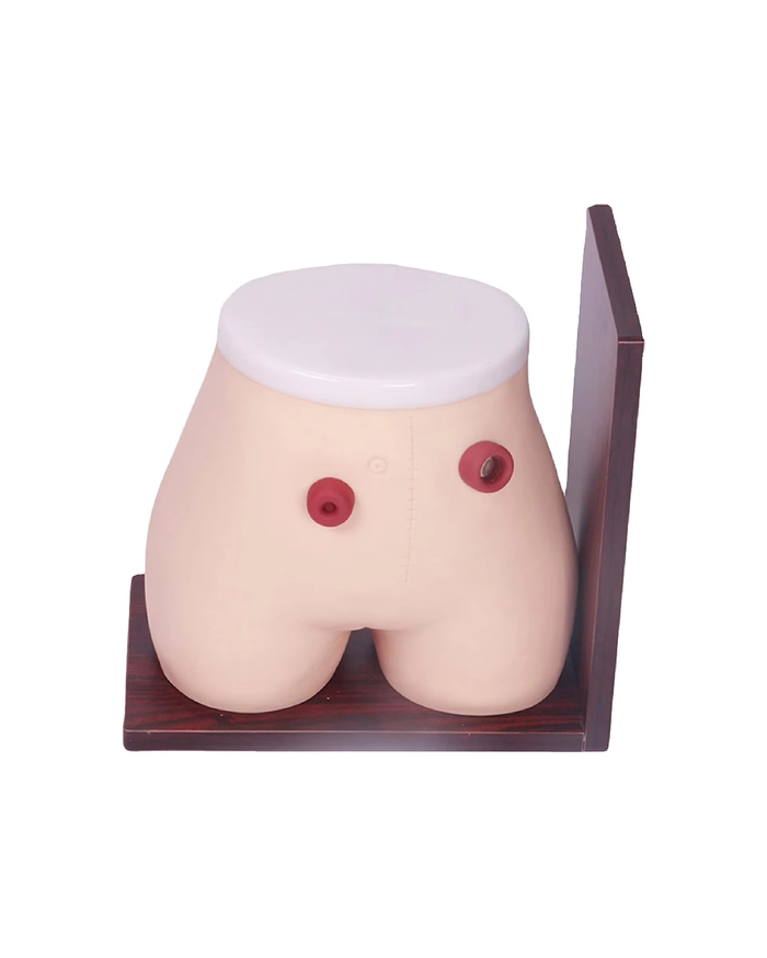 Стома арчилгааны загвар