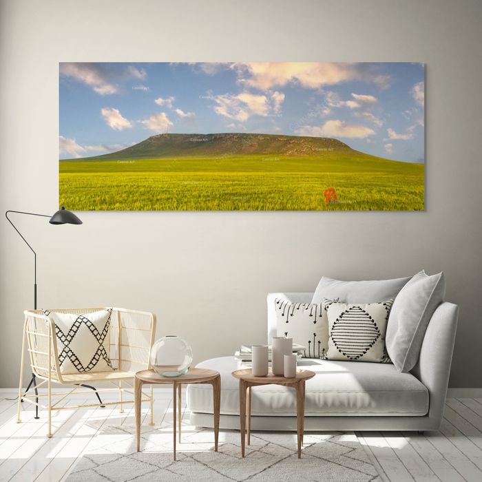 Дарханхаан уул