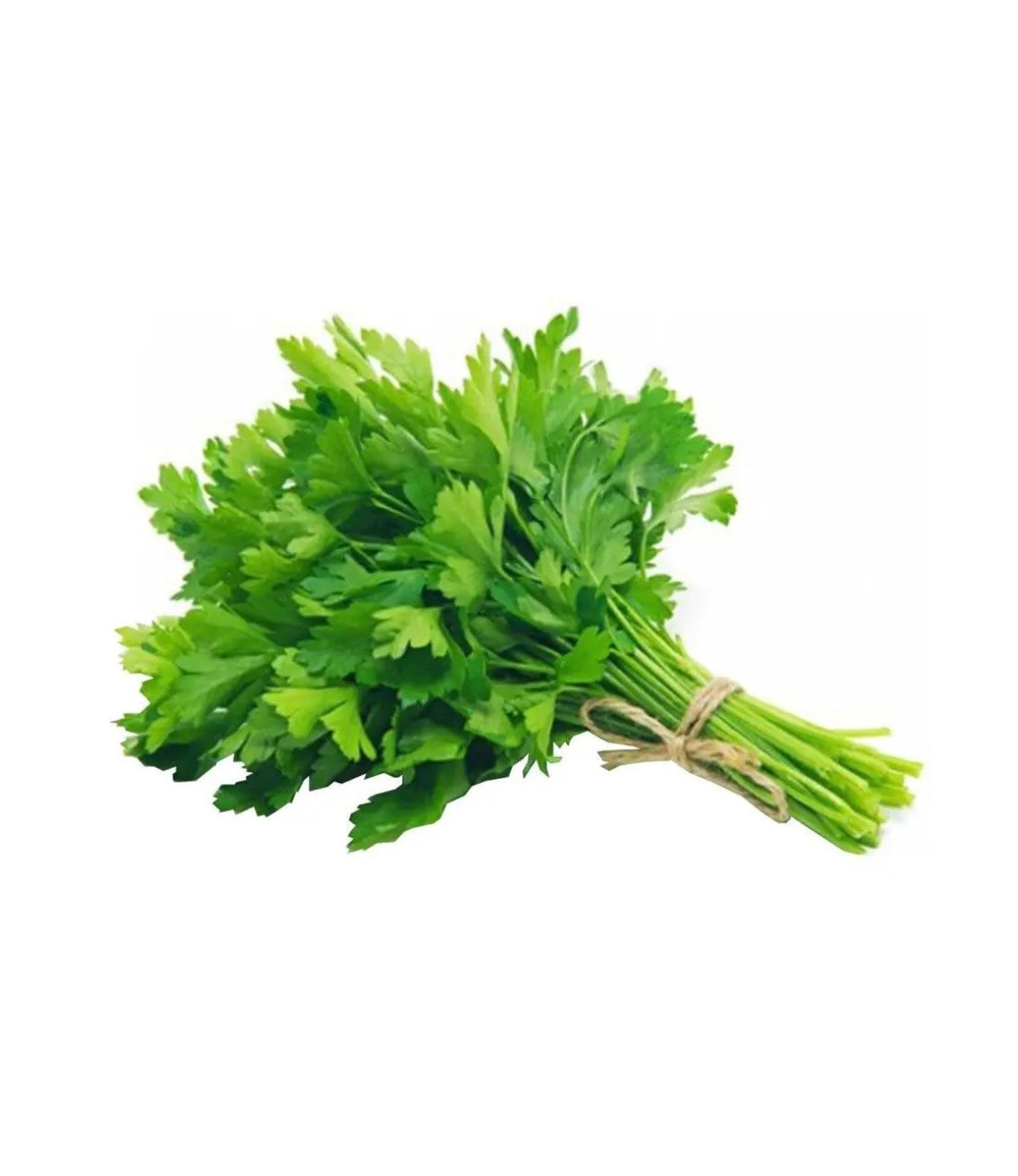 Нарийн ногоо
