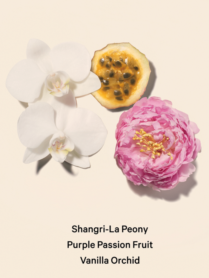 Bombshell Mini Fragrance Duo Gift Set