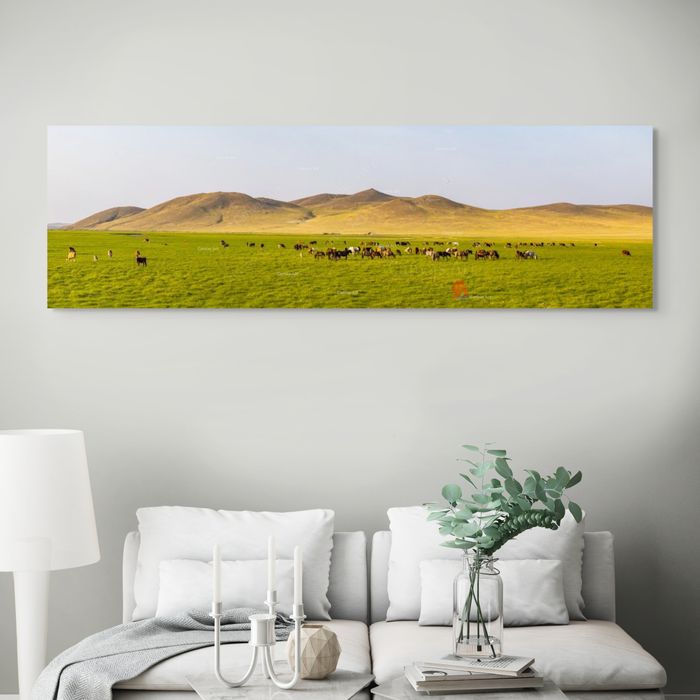 Дашбалбар уул