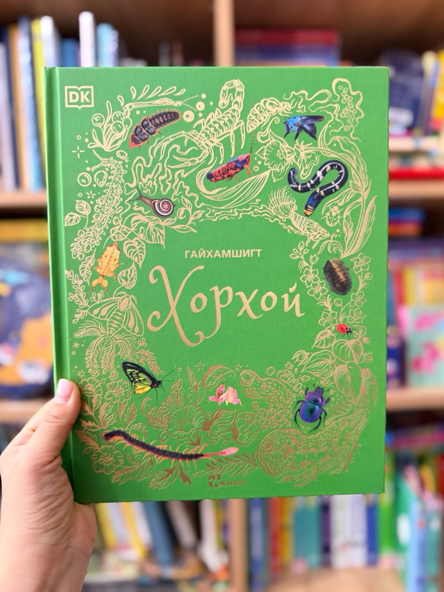 Гайхамшигт хорхой
