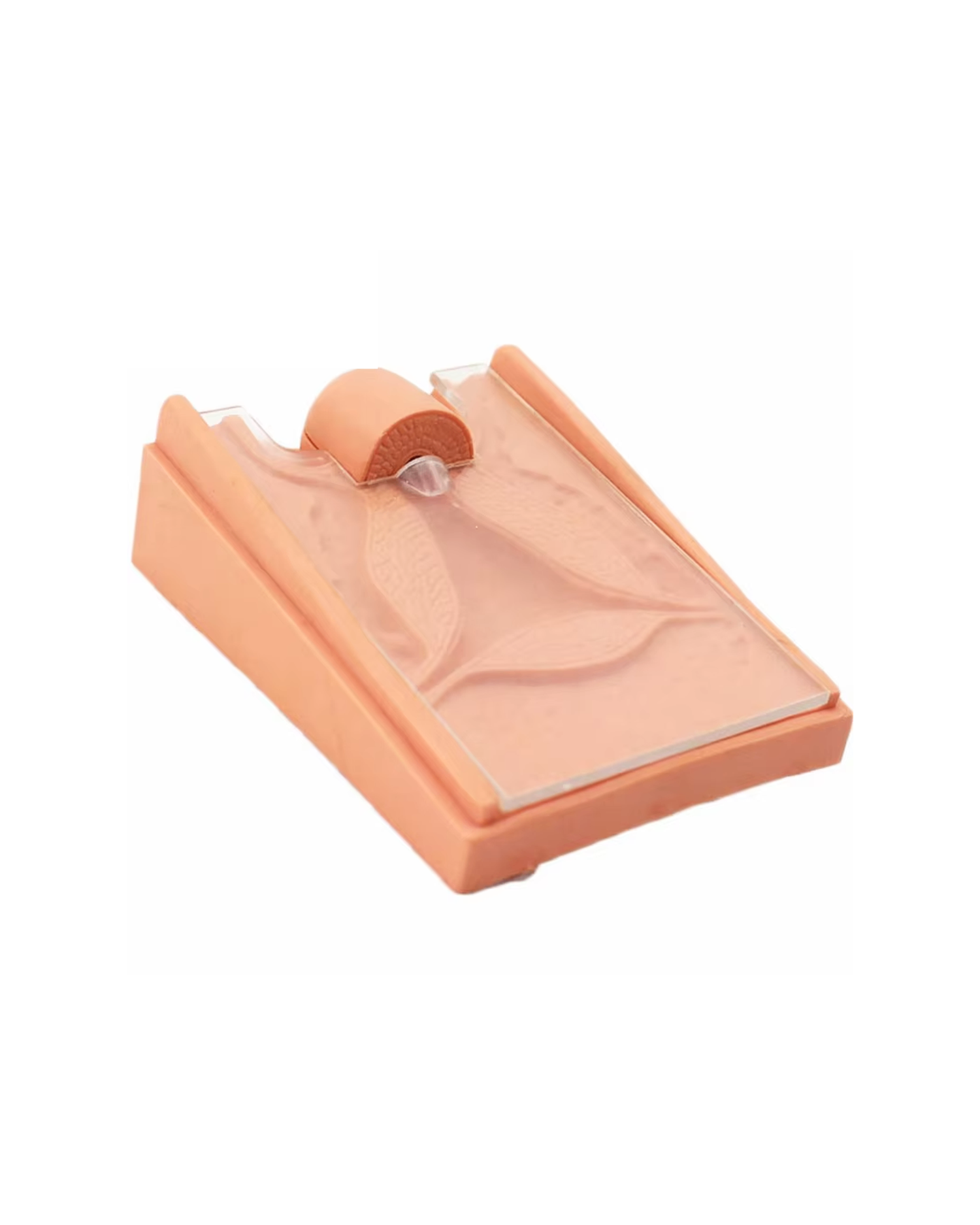 ЕРӨ (Спираль) тавих сургалтын загвар