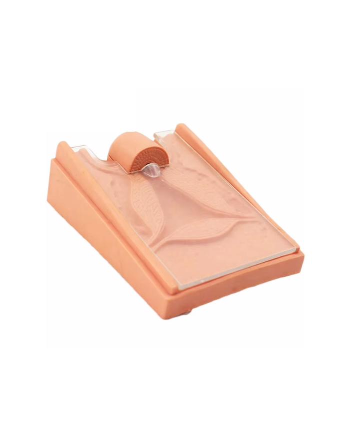 ЕРӨ (Спираль) тавих сургалтын загвар