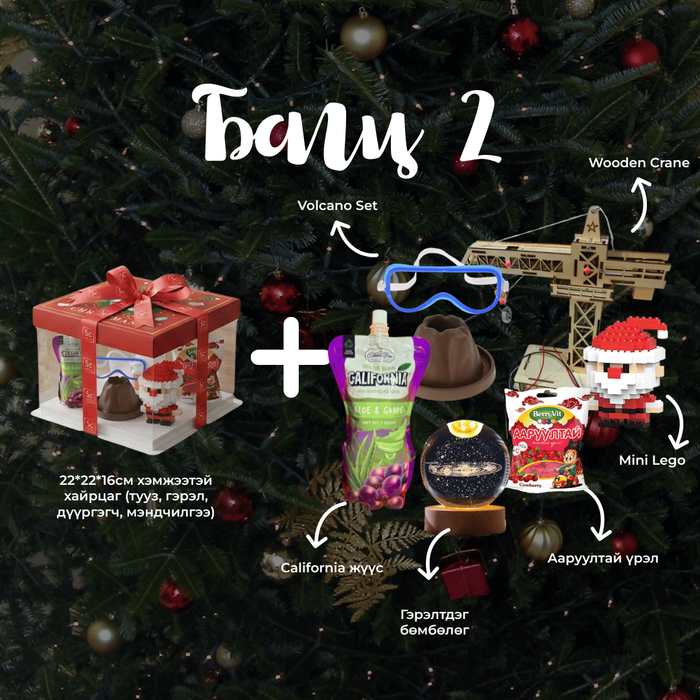 Шинэ жилийн бэлгийн БАГЦ 2