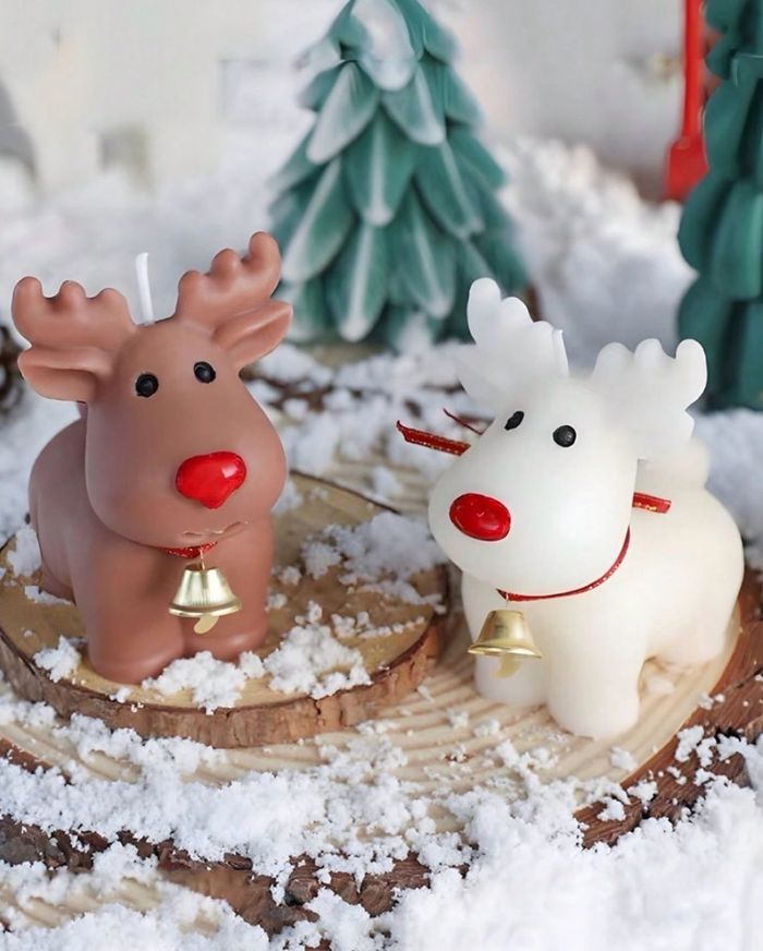 Цаа буга хэв