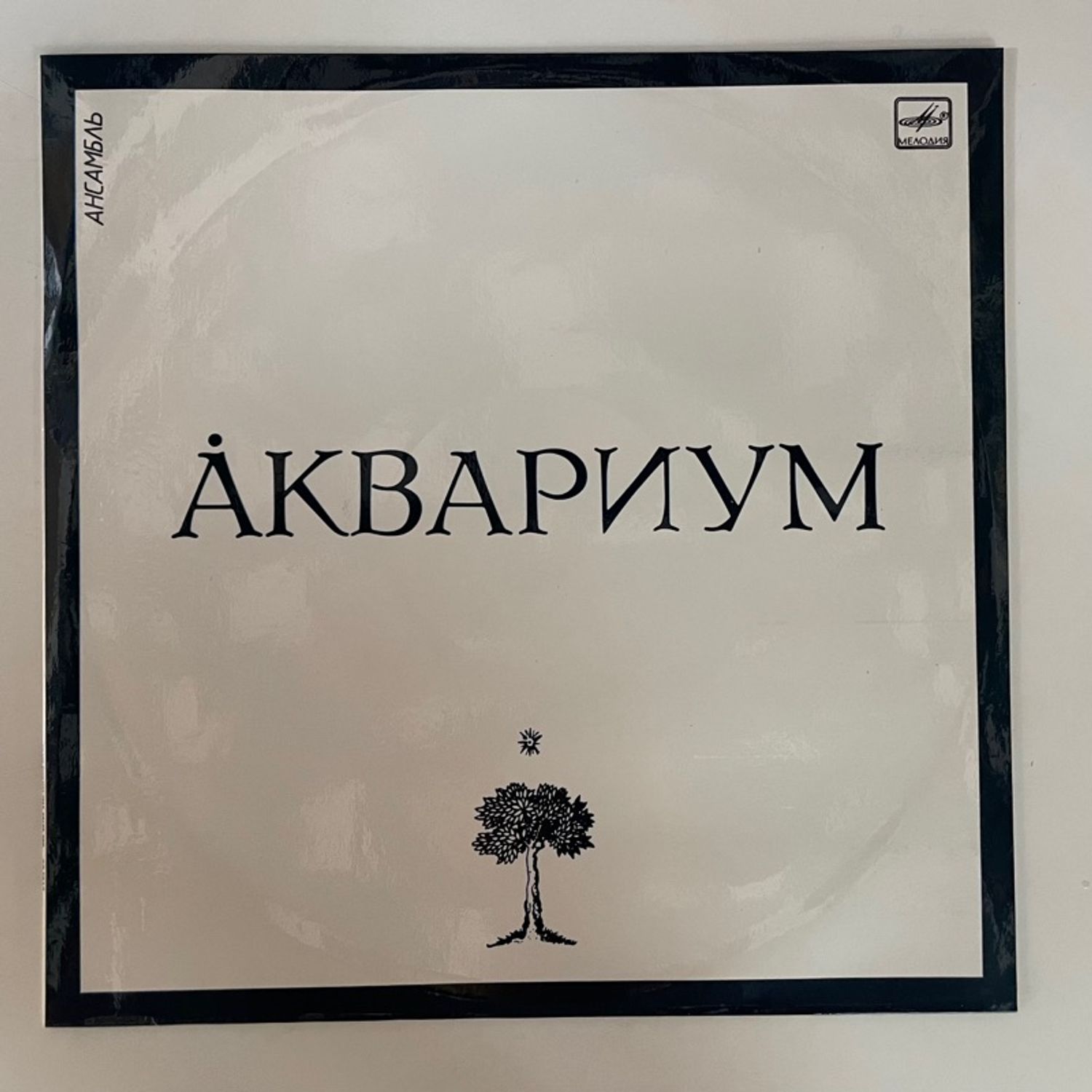 Аквариум – Åквариум