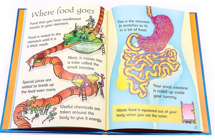 #Usborne #Beginners_Science