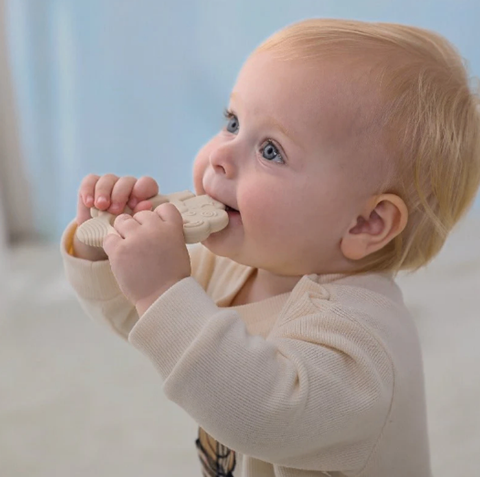 Moonkie Sheep шүдлэвч 