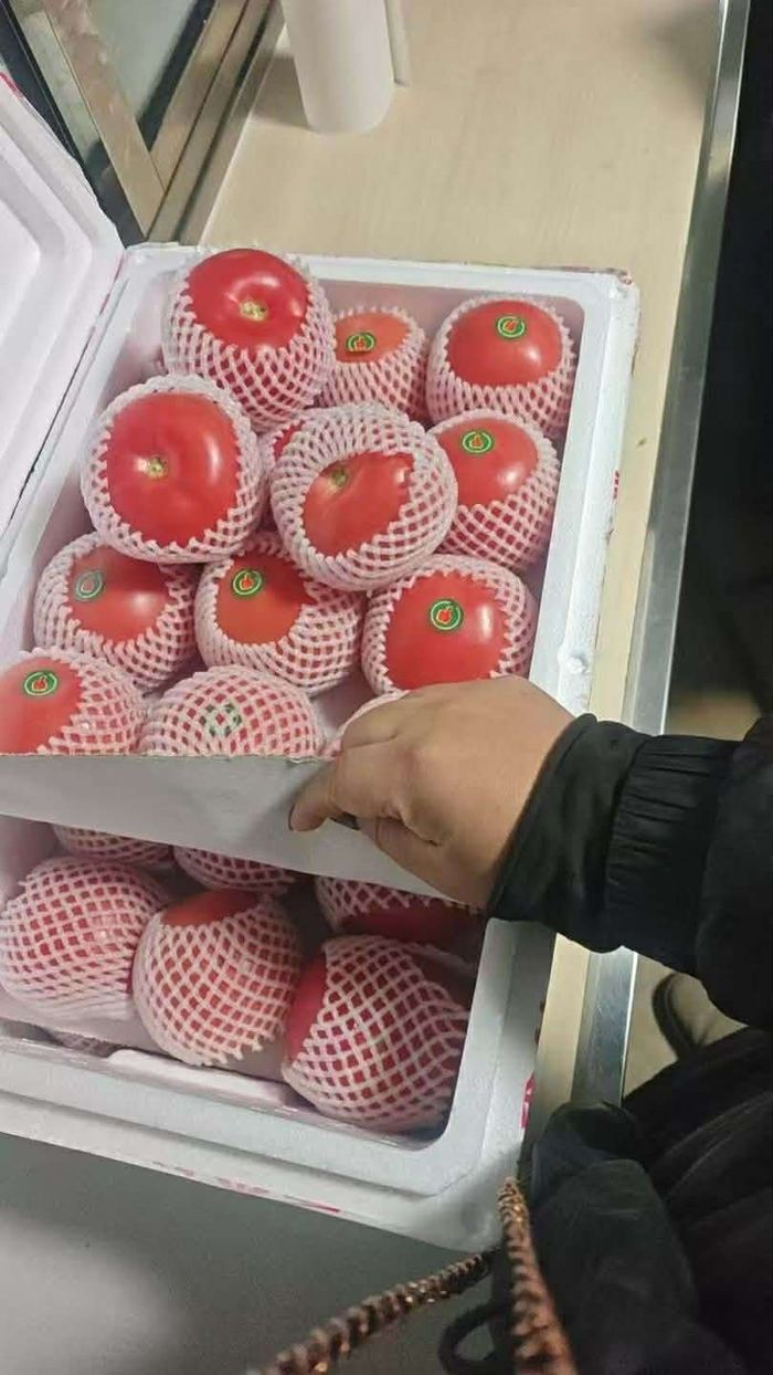 Улаан лооль