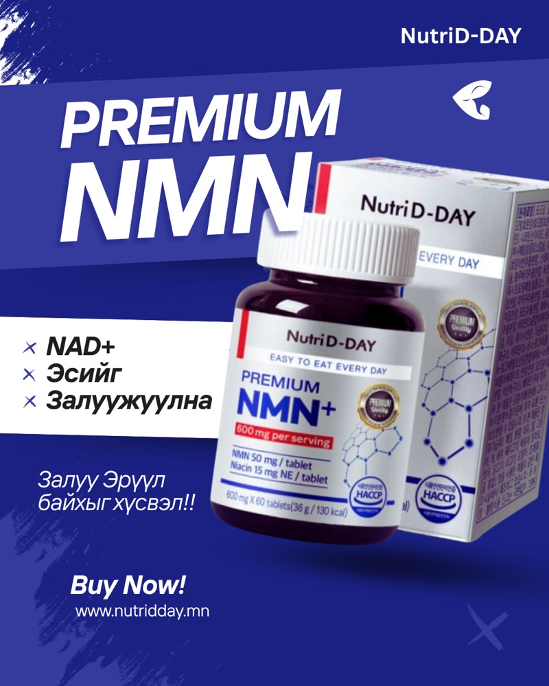 NMN ЭСИЙГ ЗАЛУУЖУУЛНА