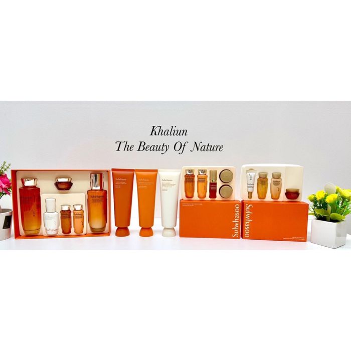 Гэрээсээ салоны үйлчилгээг өгөх Ginseng & Mask Full SET