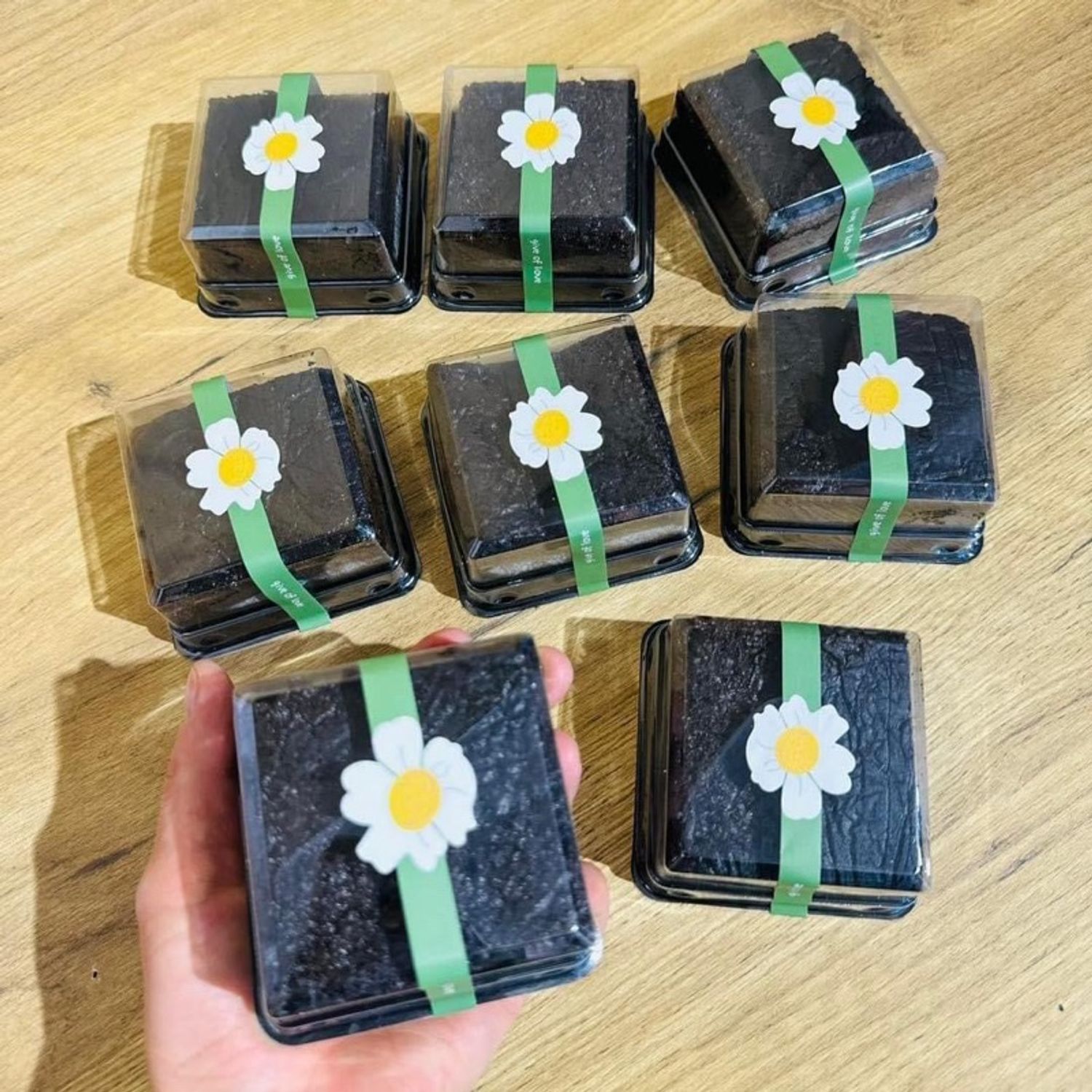 Шоколадтай бялуу