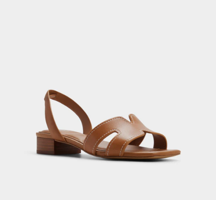 JAVAMANNON-210-MEDIUM BROWN-L Cas Sandals