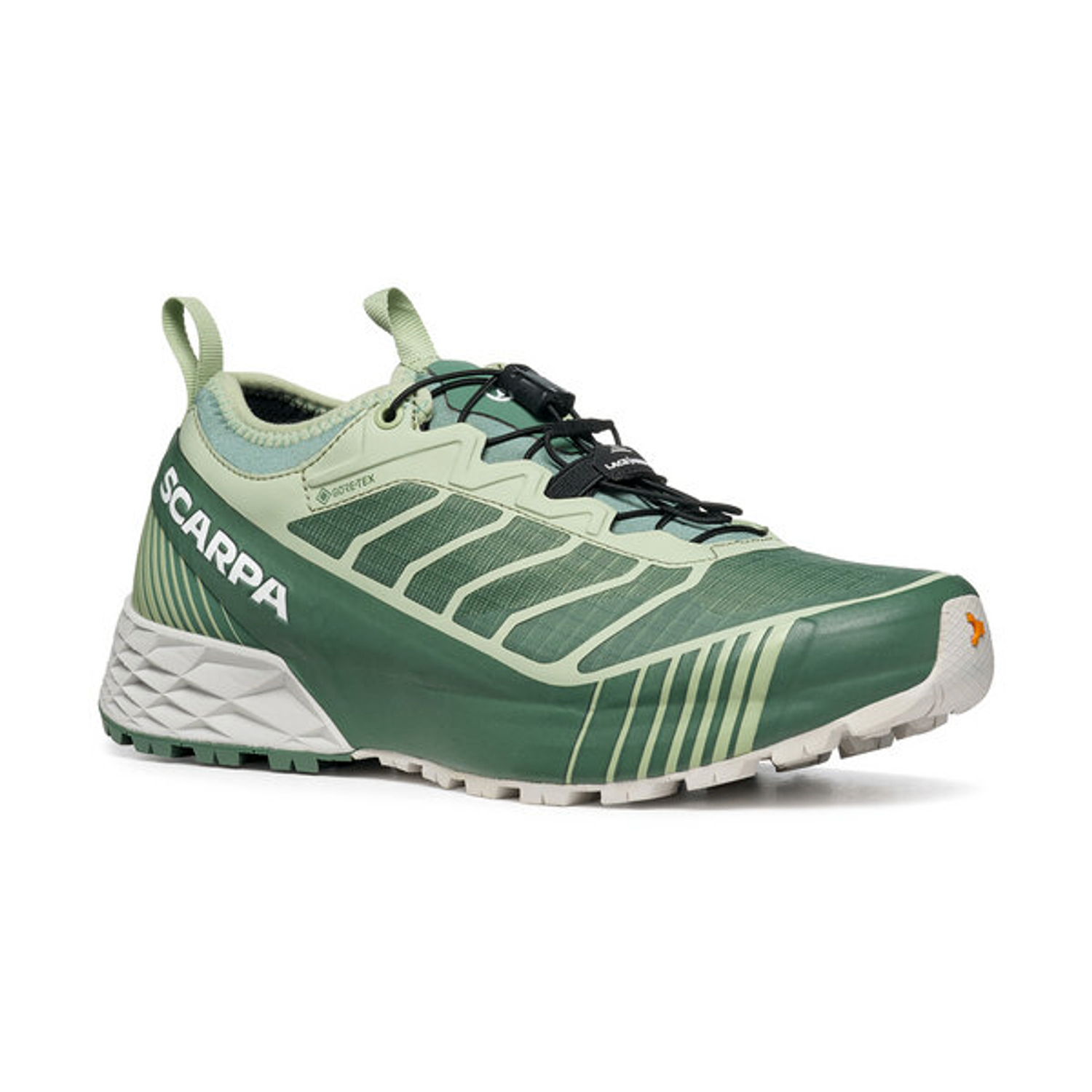 Scarpa |  RIBELLE RUN GTX | Women 