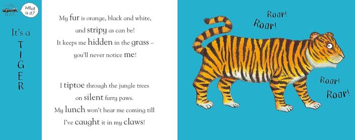 Axel Scheffler's Flip Flap Jungle