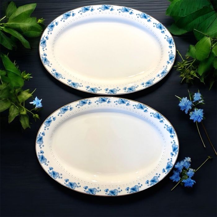 гангар шаазан зууван таваг