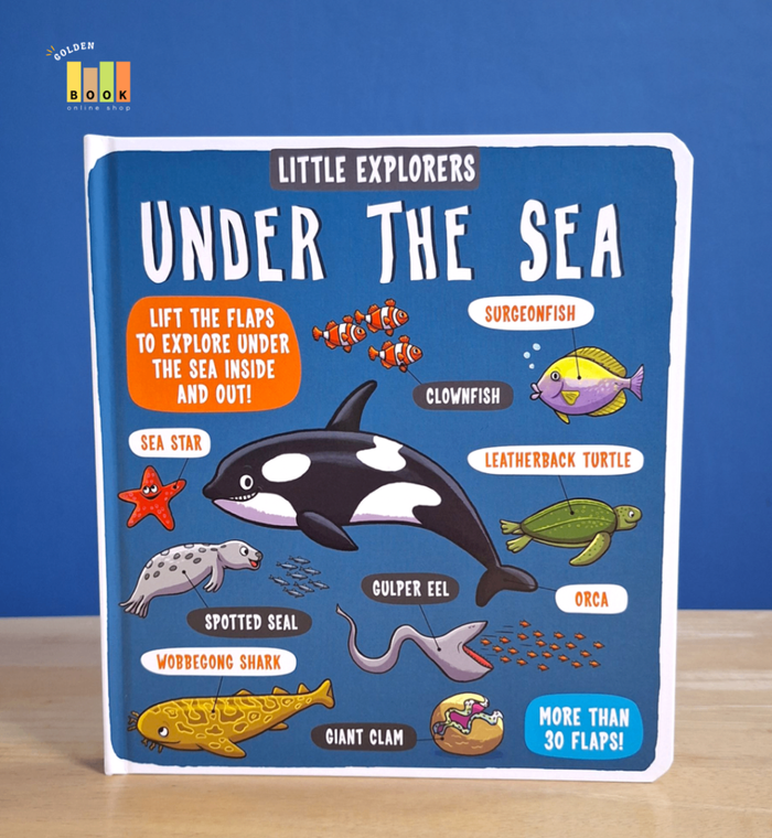Little Explorers Under the Sea