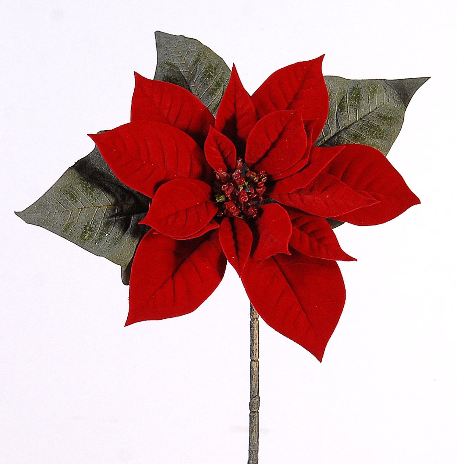  Red poinsetia pick