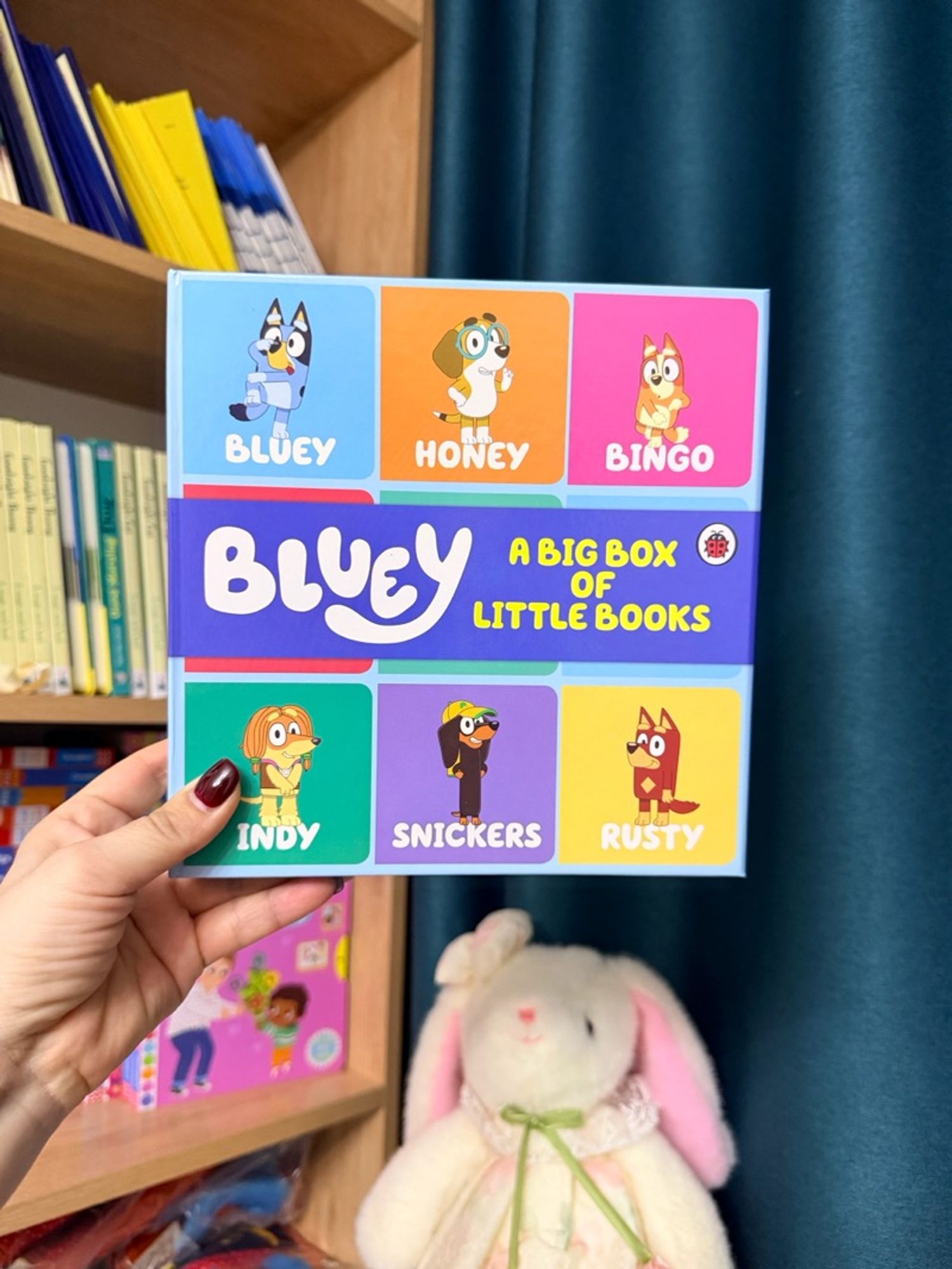 Bluey-A big box of little box