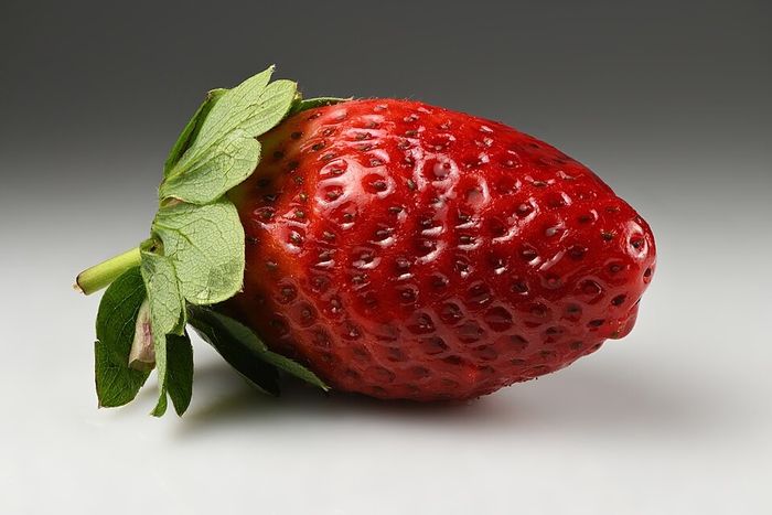 Гүзээлзгэнэ