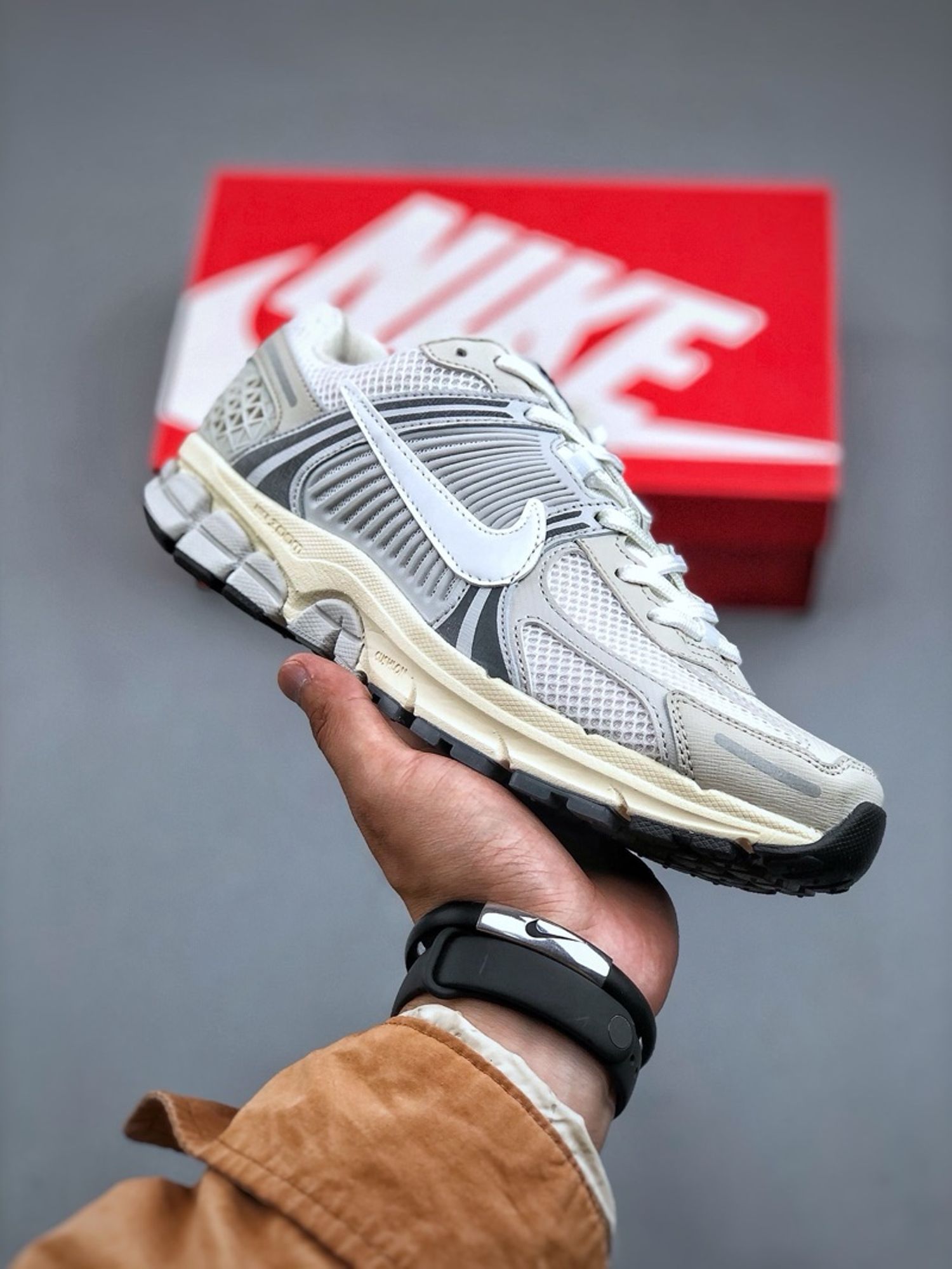 Air Zoom Vomero 5“Platinum Tint”