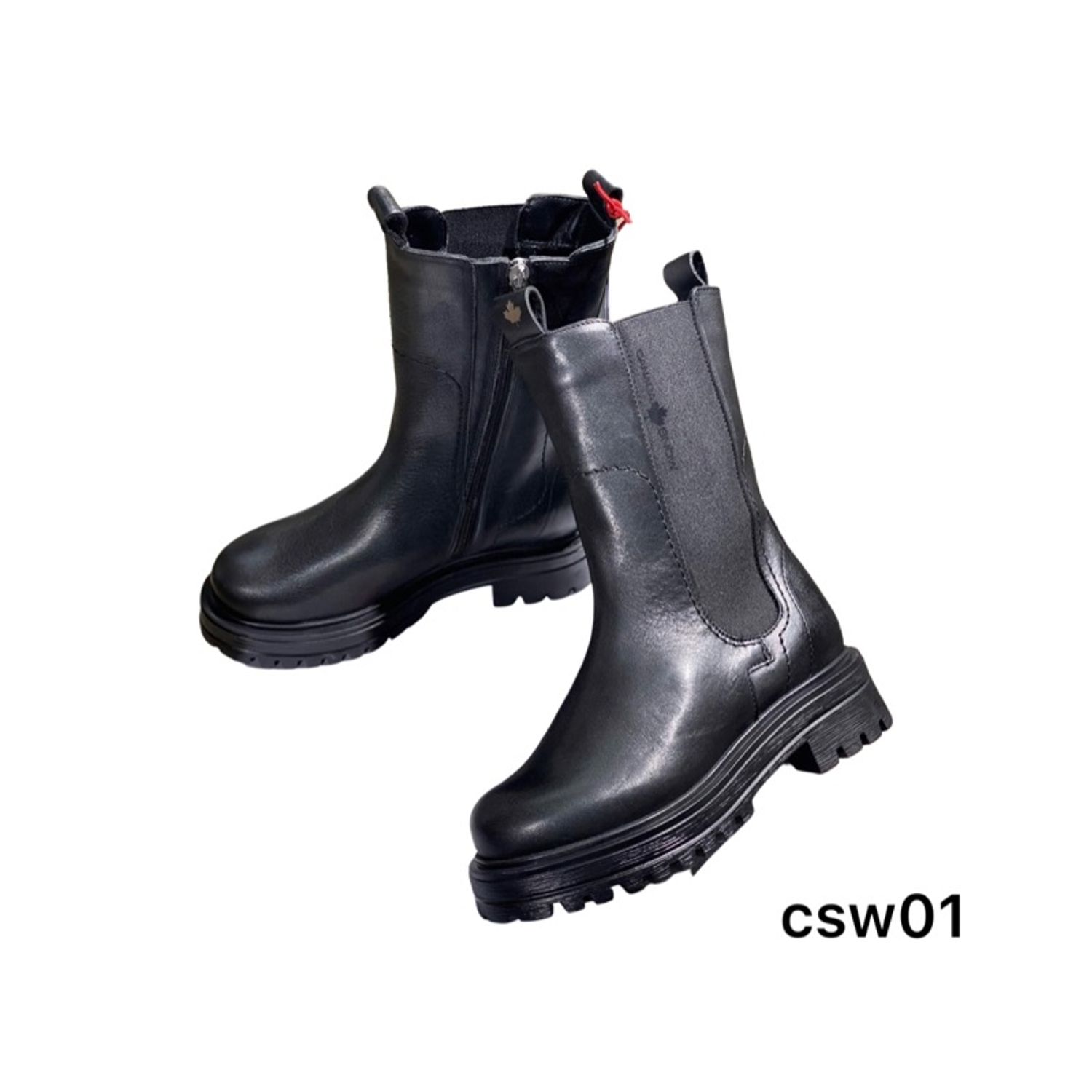 Canada snow хавар намар   csw01