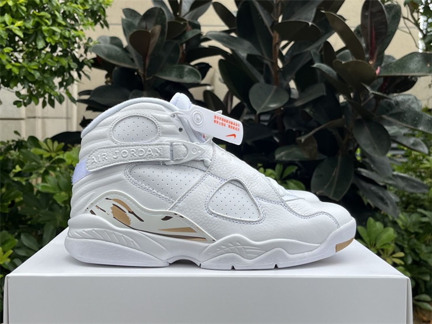 Air Jordan 8 Retro OVO