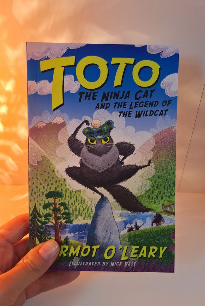Toto the Ninja Cat 
