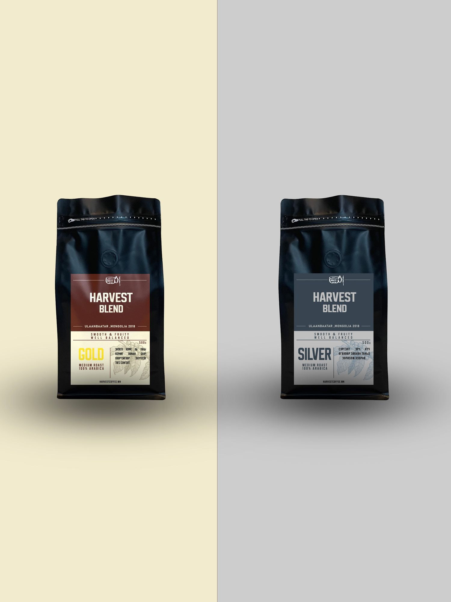 GOLD x SILVER /500g x 2 /