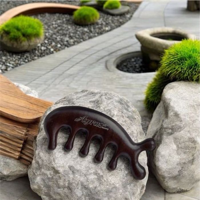 Ayras beauty massaj comb