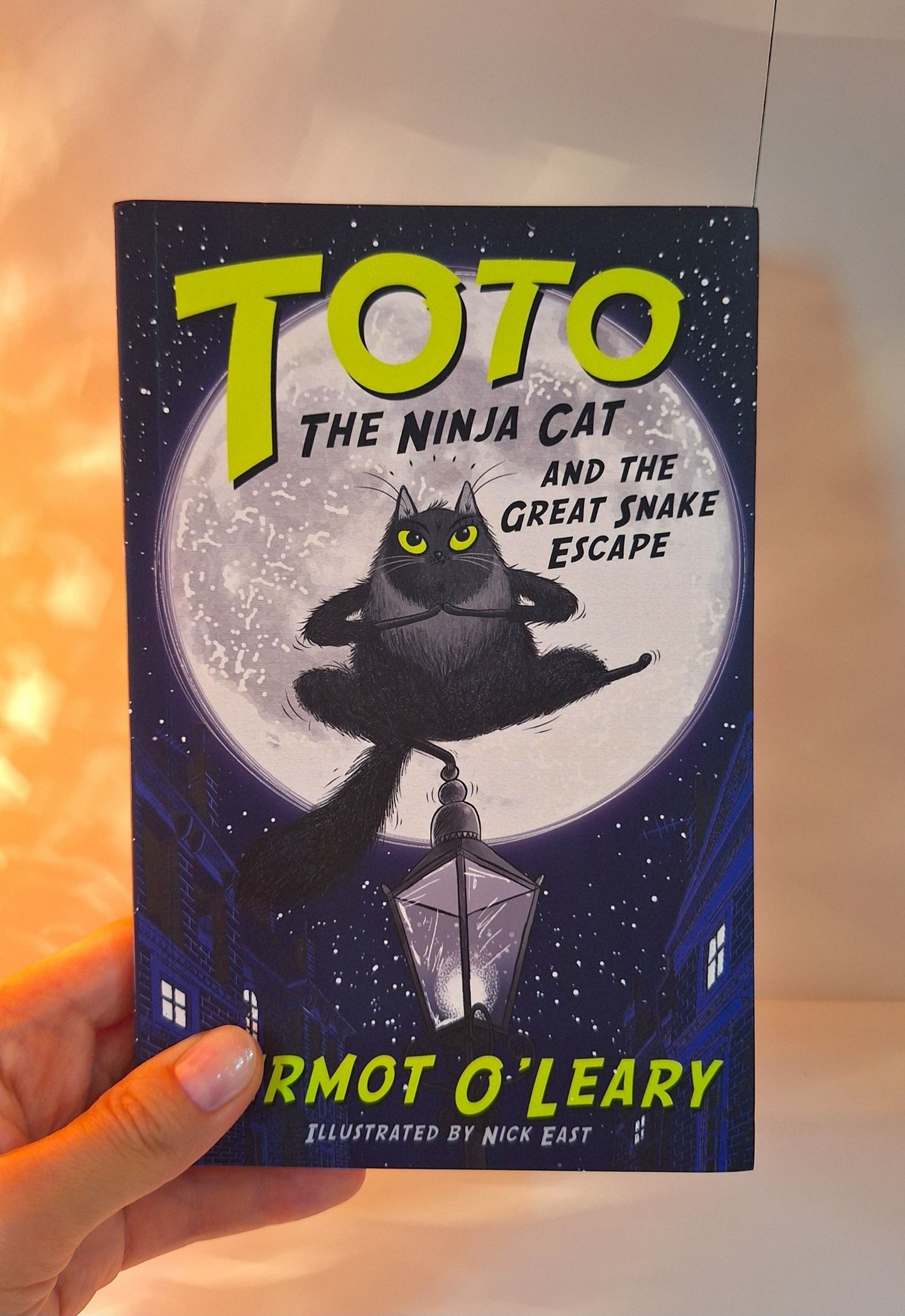 Toto the Ninja Cat 