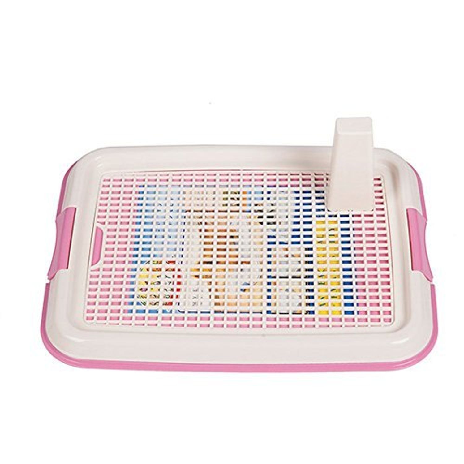 Нохойн жорлон